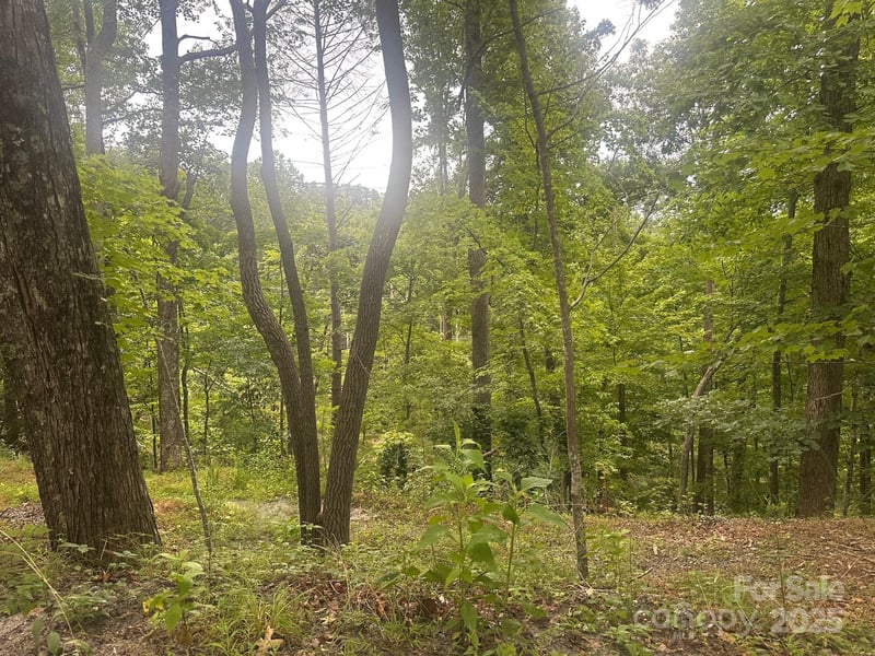 Buzzards Pl #186, Lake Lure, NC 28746