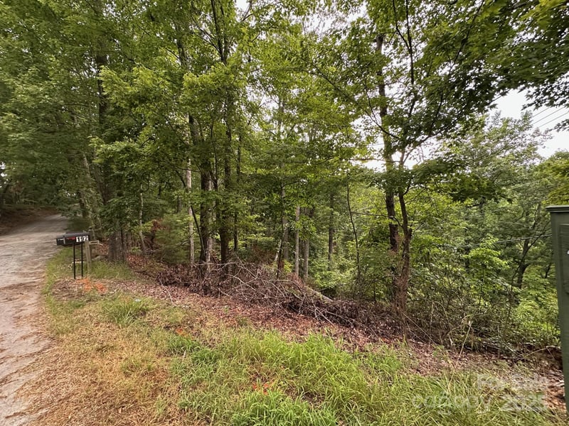 Buzzards Pl #186, Lake Lure, NC 28746