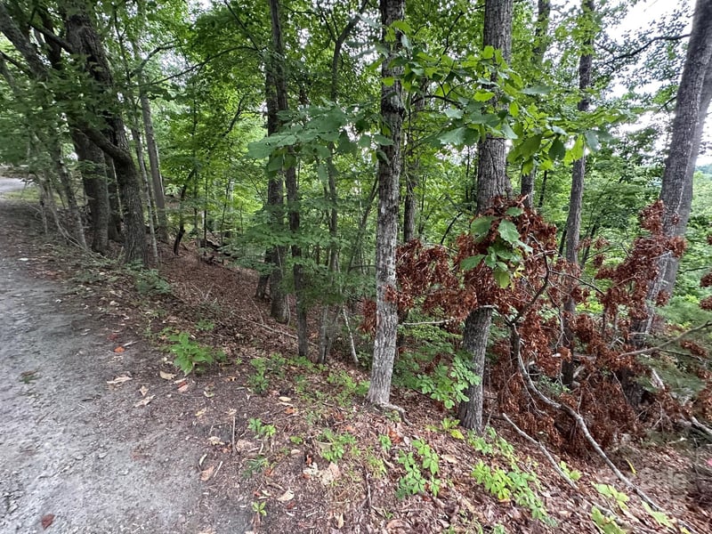 Buzzards Pl #186, Lake Lure, NC 28746