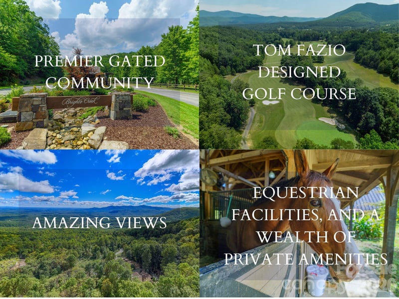 000 Deep Gap Farm Dr #2021, Mill Spring, NC 28756