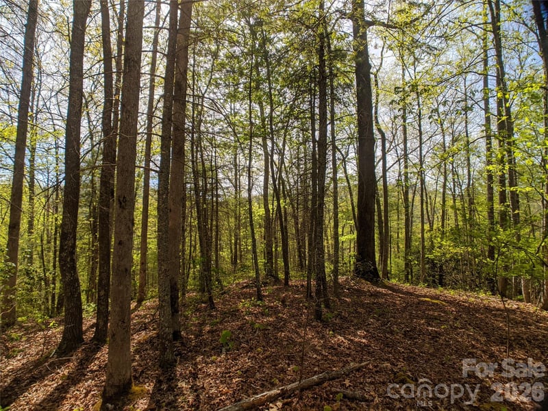 1156 Bear River Lodge Trl #61, Marshall, NC 28753