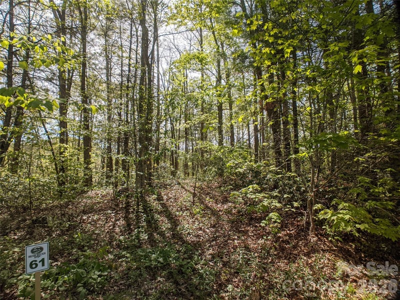 1156 Bear River Lodge Trl #61, Marshall, NC 28753