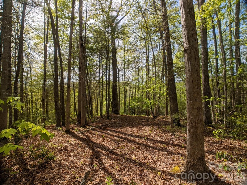 1156 Bear River Lodge Trl #61, Marshall, NC 28753