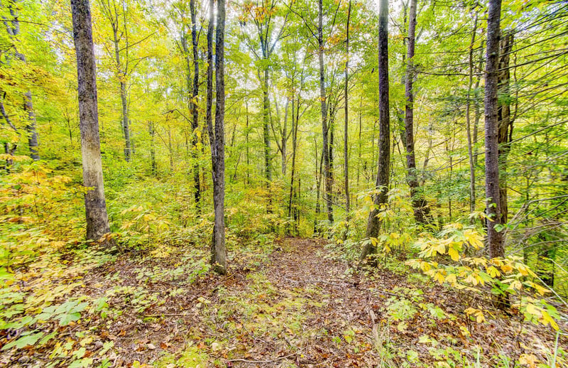 443 Glen Valley Dr, Weaverville, NC 28787