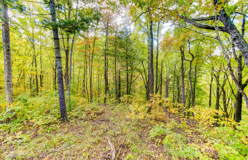 443 Glen Valley Dr, Weaverville, NC 28787
