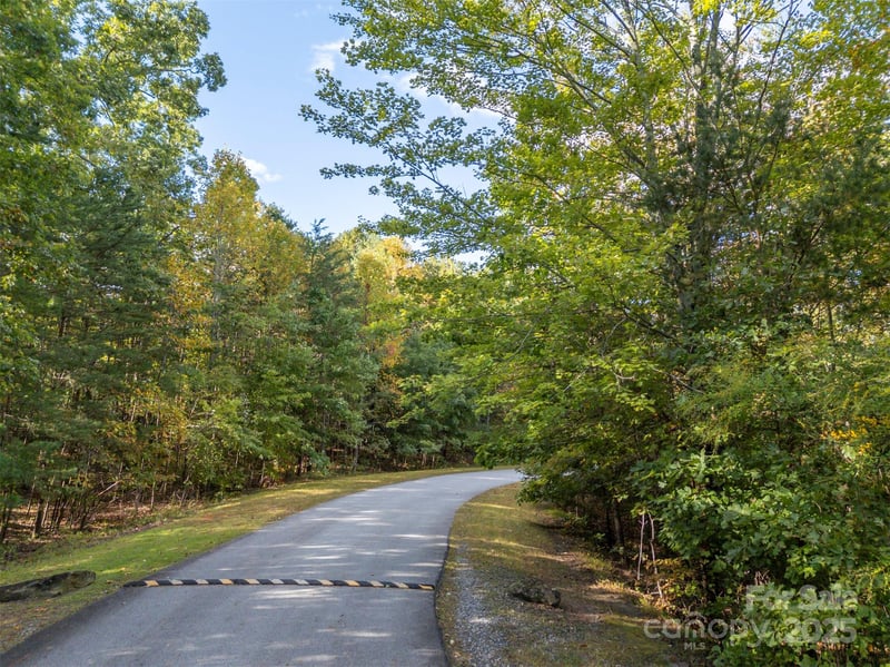 100 Pardo Rd, Landrum, SC 29356