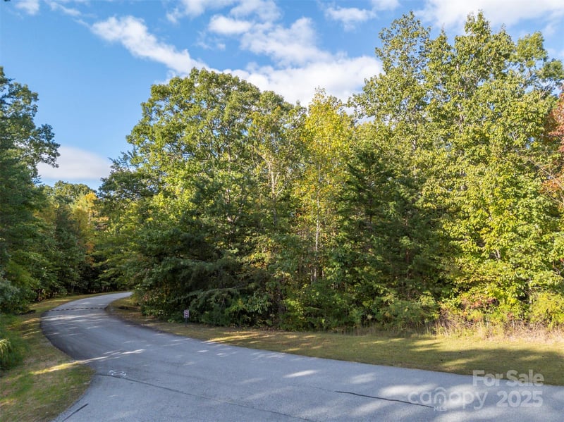 100 Pardo Rd, Landrum, SC 29356