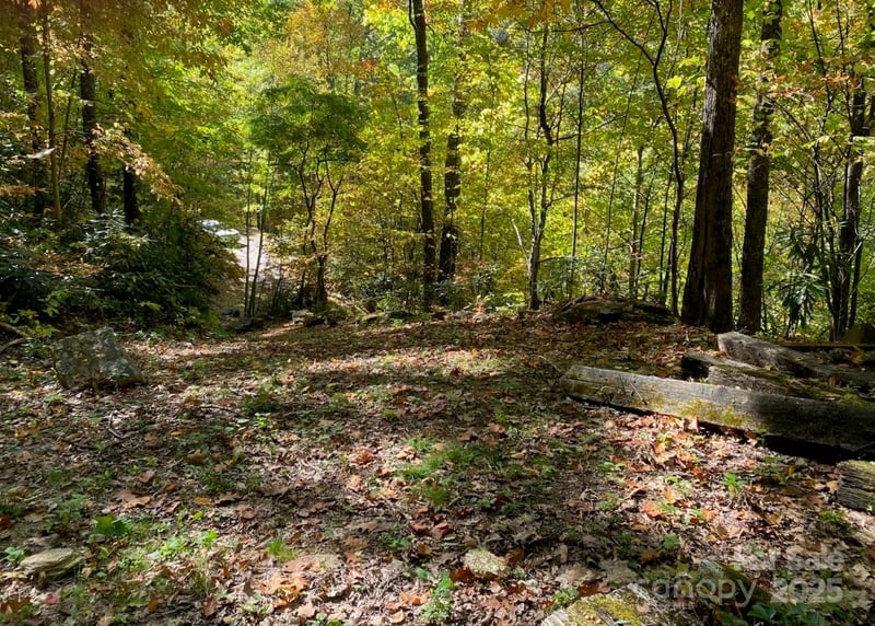 Lot A38 Tawodi Trl #A38, Maggie Valley, NC 28751