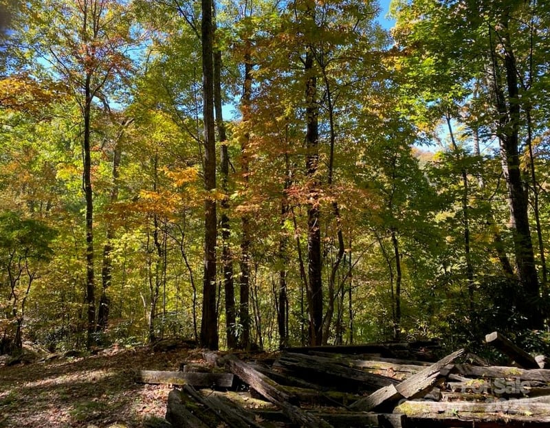 Lot A38 Tawodi Trl #A38, Maggie Valley, NC 28751