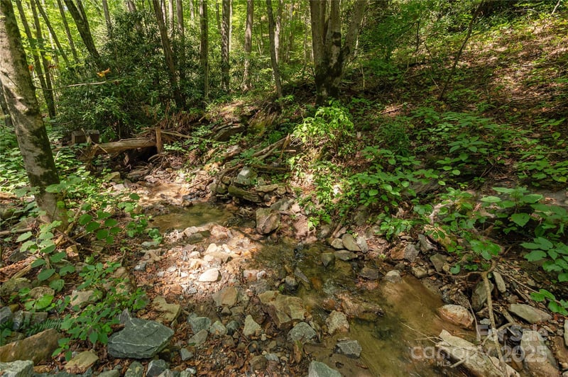 99999 Christian Creek Rd, Swannanoa, NC 28778