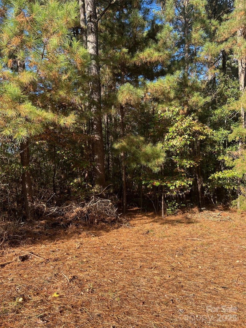 00 Horton Rd, Wadesboro, NC 28170