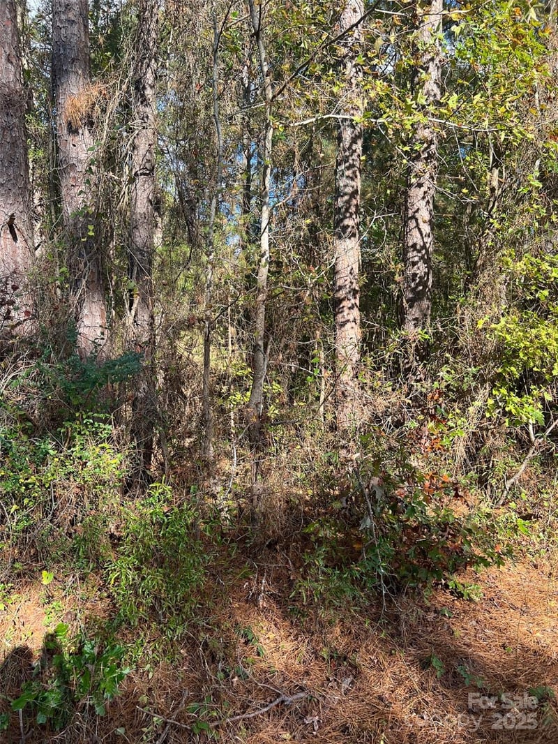 00 Horton Rd, Wadesboro, NC 28170