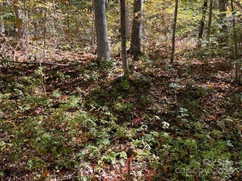 99999 Moody Cove Rd, Weaverville, NC 28787