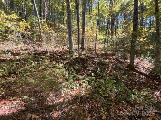 99999 Moody Cove Rd, Weaverville, NC 28787