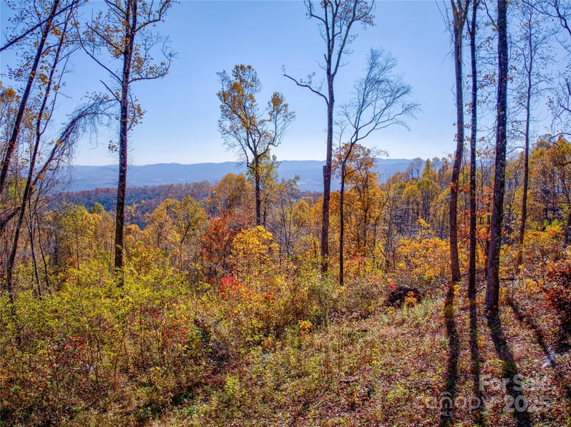 7 Laurel Ledge Way #13, Fletcher, NC 28732