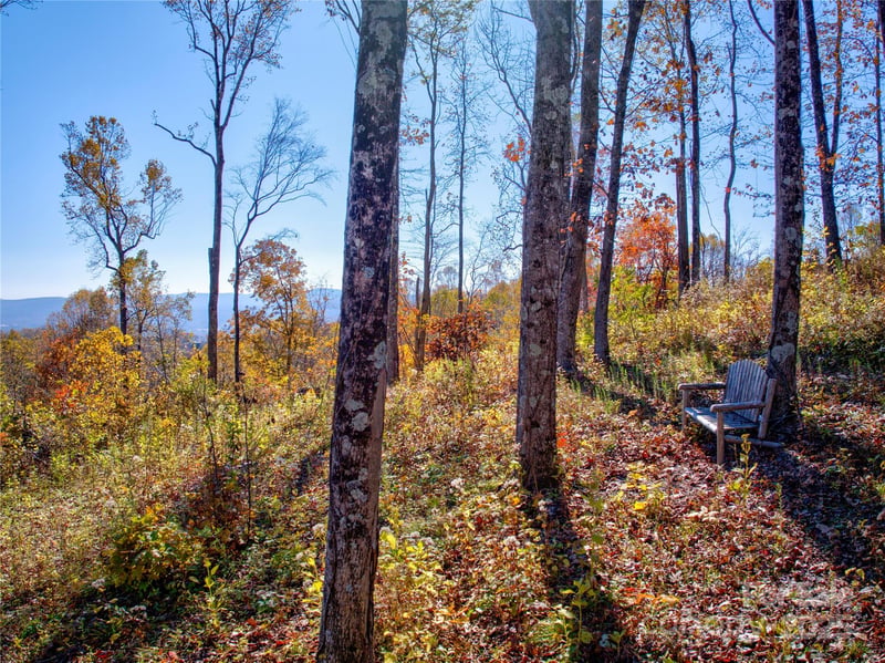 7 Laurel Ledge Way #13, Fletcher, NC 28732