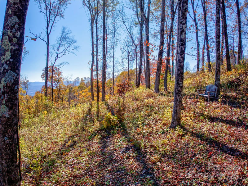 7 Laurel Ledge Way #13, Fletcher, NC 28732