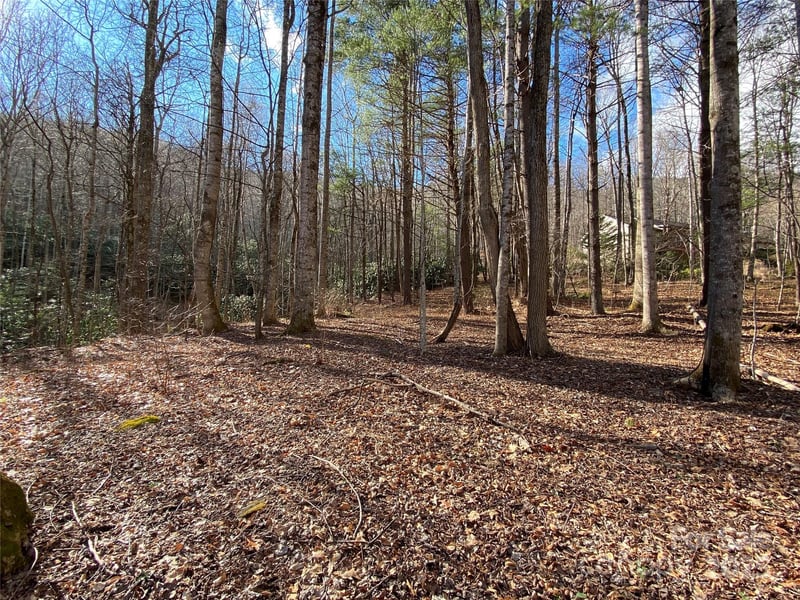 12 Laurel Branch Dr, Black Mountain, NC 28711