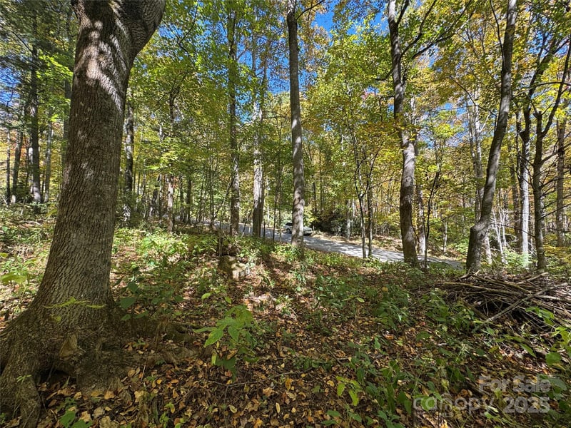 12 Laurel Branch Dr, Black Mountain, NC 28711