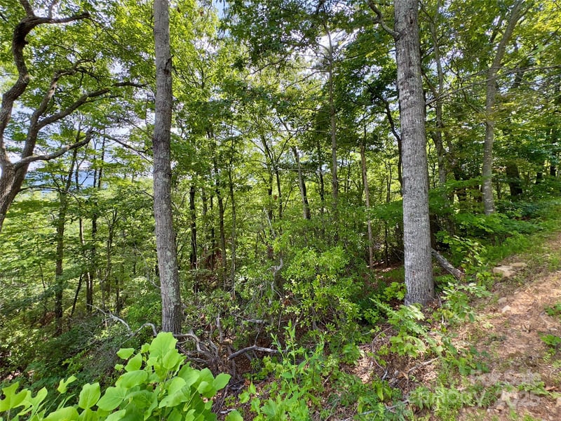 94 Galax Dr #T-44, Black Mountain, NC 28711