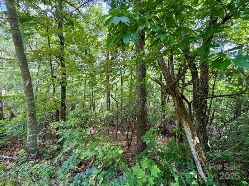 94 Galax Dr #T-44, Black Mountain, NC 28711