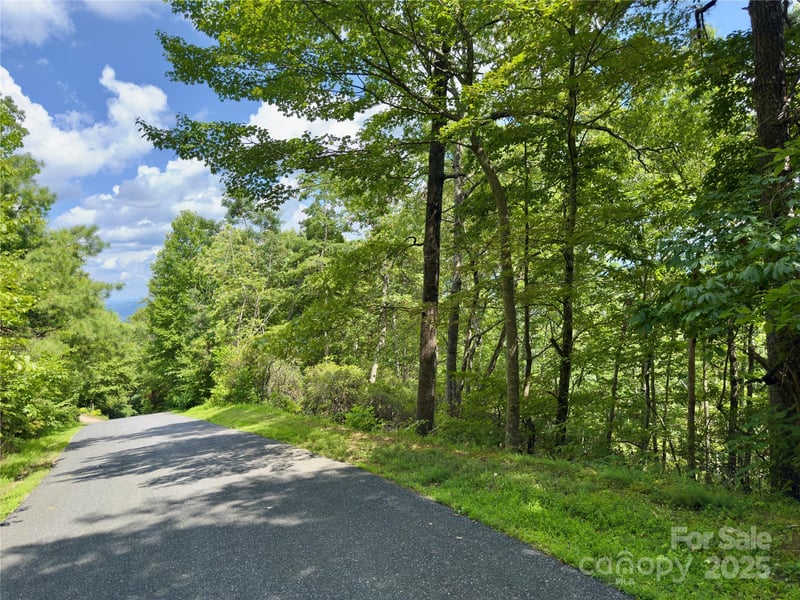 94 Galax Dr #T-44, Black Mountain, NC 28711