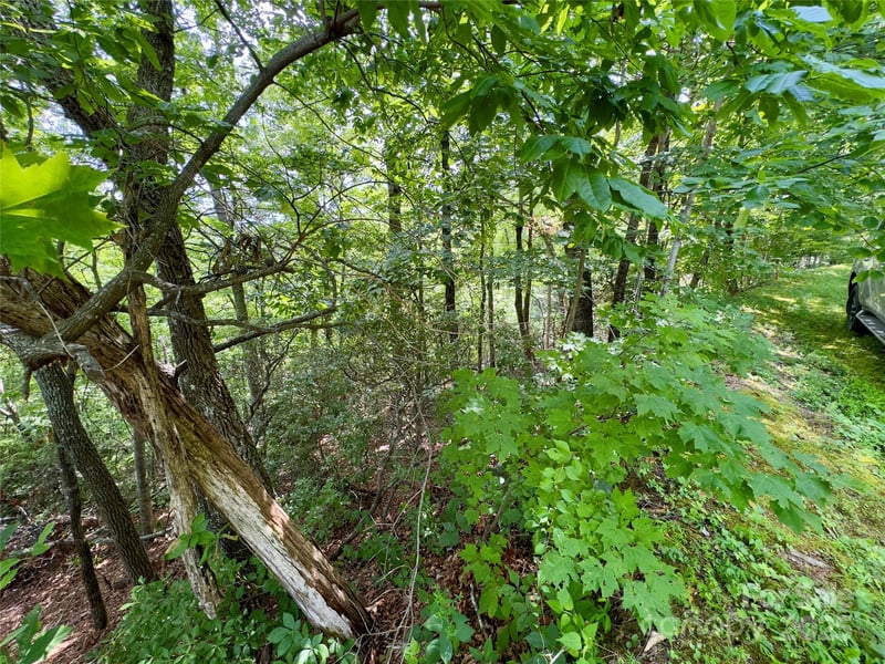 94 Galax Dr #T-44, Black Mountain, NC 28711