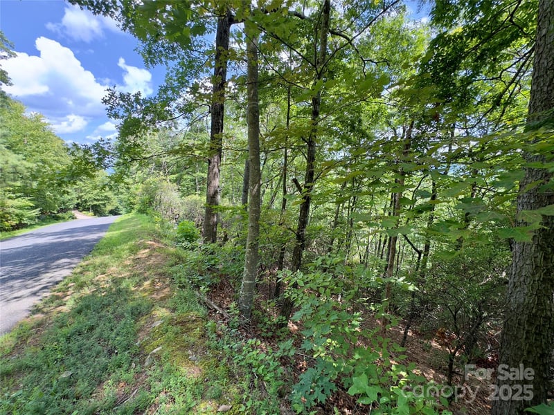 94 Galax Dr #T-44, Black Mountain, NC 28711