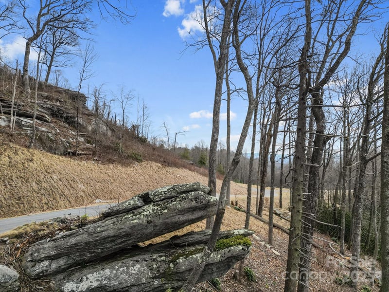 Lot 65 Featherstone Dr #65, Fletcher, NC 28732