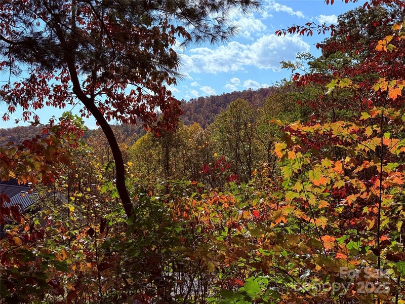 312 Hollybrook Dr #S-1R, Flat Rock, NC 28731