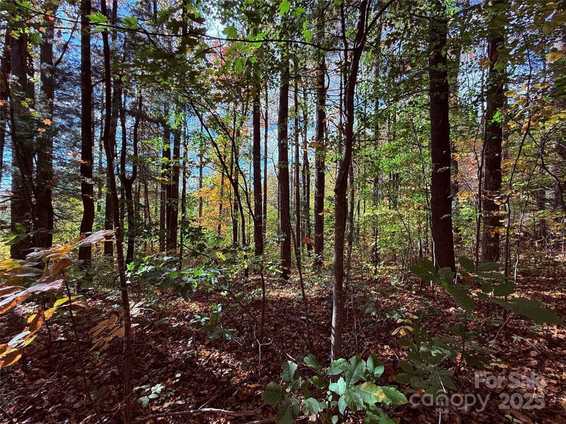 312 Hollybrook Dr #S-1R, Flat Rock, NC 28731