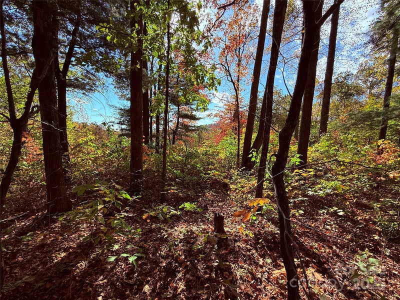 312 Hollybrook Dr #S-1R, Flat Rock, NC 28731