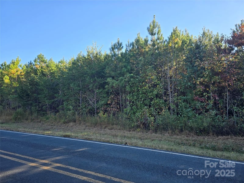 Moss Ln, New London, NC 28127