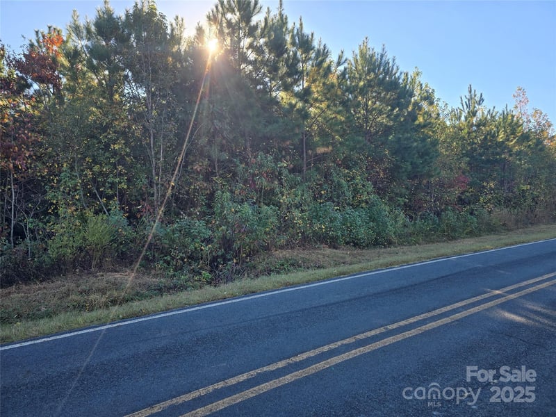 Moss Ln, New London, NC 28127