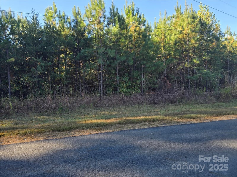 Moss Ln, New London, NC 28127