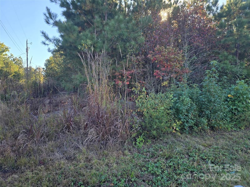 Moss Ln, New London, NC 28127