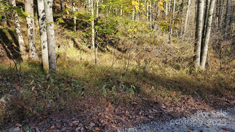 000 Cabin Hill Rd, Green Mountain, NC 28740