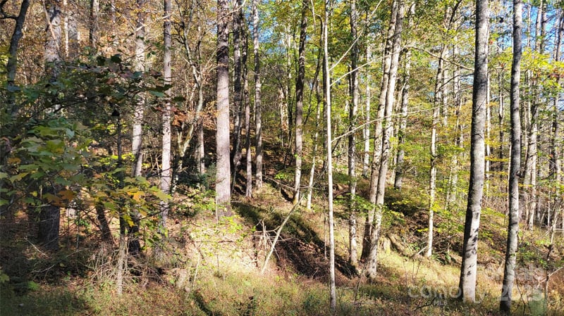 000 Cabin Hill Rd, Green Mountain, NC 28740