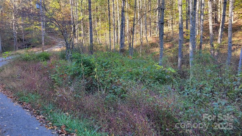 000 Cabin Hill Rd, Green Mountain, NC 28740