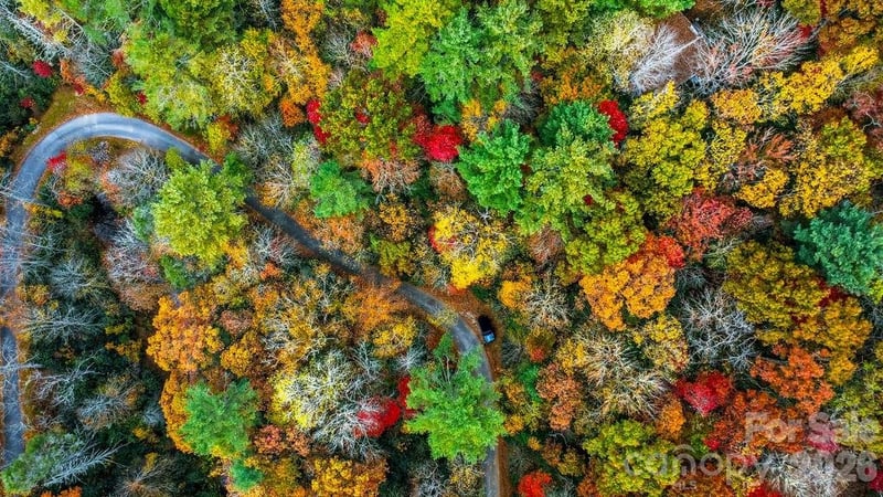 000 Indian Lake Rd #21, Lake Toxaway, NC 28747