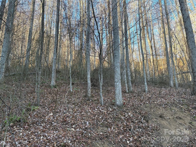 28 Cadillac Pointe, Waynesville, NC 28785