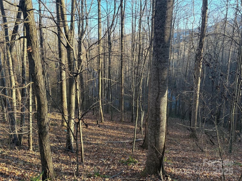 28 Cadillac Pointe, Waynesville, NC 28785