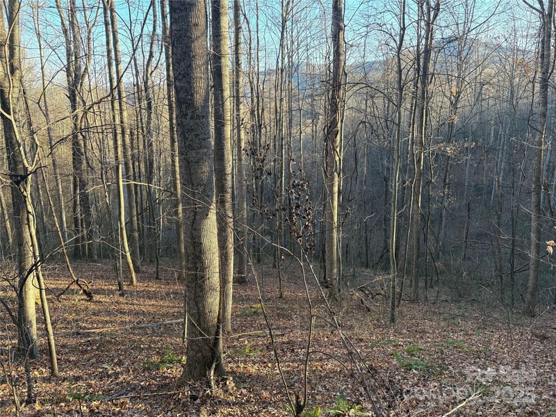 28 Cadillac Pointe, Waynesville, NC 28785