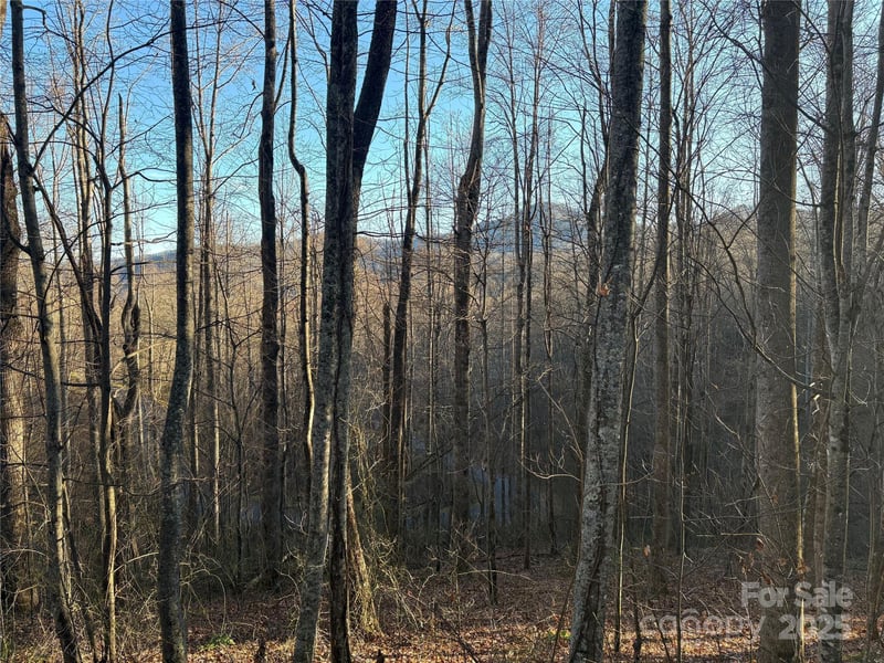 28 Cadillac Pointe, Waynesville, NC 28785