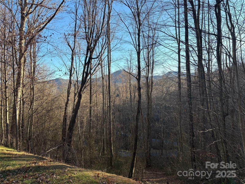 28 Cadillac Pointe, Waynesville, NC 28785