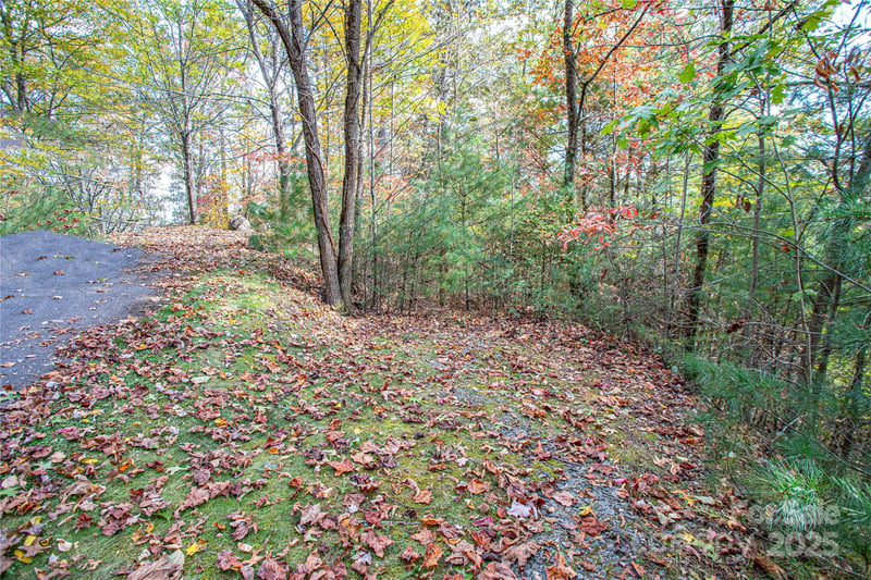 TBD High Point Trl #24, Brevard, NC 28712