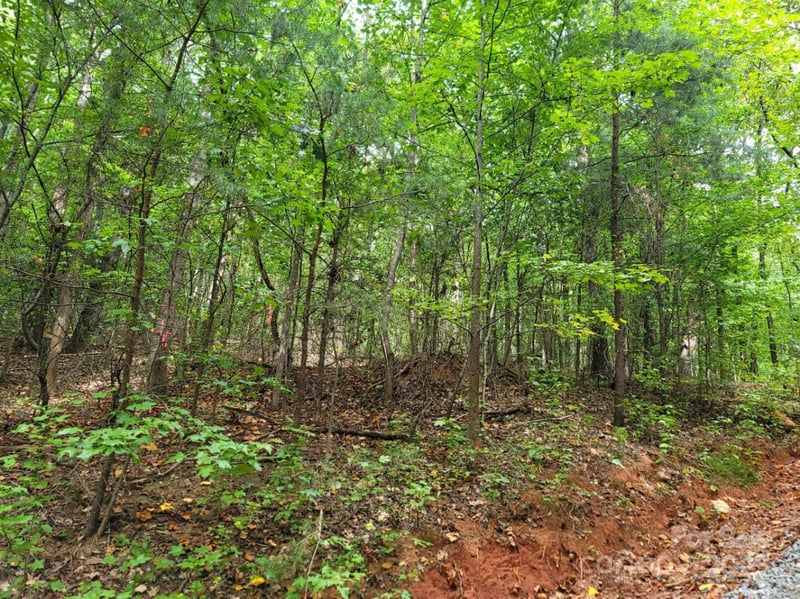 219 Judy Rd, Casar, NC 28020