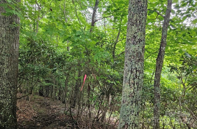 Lot 3 Mountain View Rd, Burnsville, NC 28714