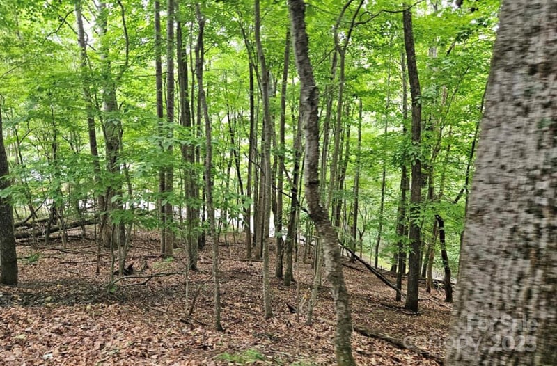 Lot 3 Mountain View Rd, Burnsville, NC 28714