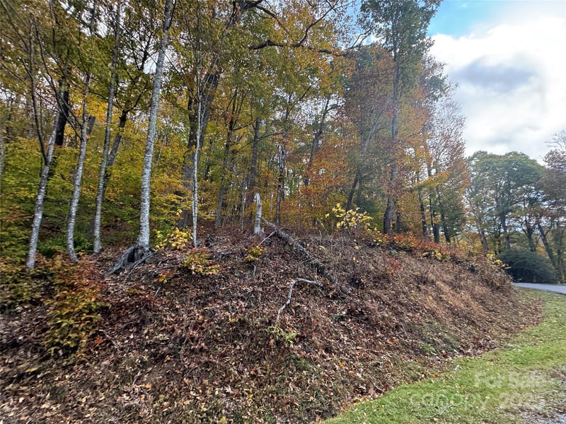 678679 El Miner Dr, Mars Hill, NC 28754